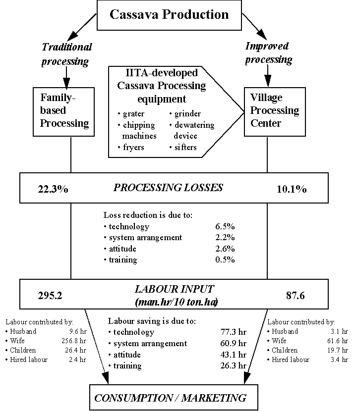 EFFECT OF IMPROVED CASSAVA PROCESSING (18KB)