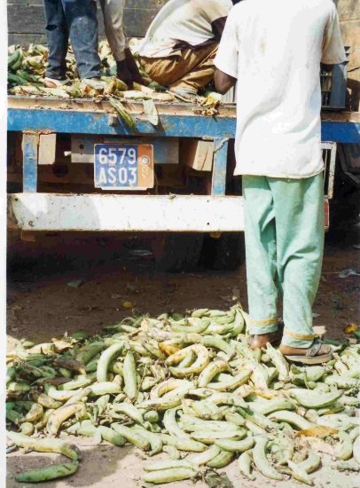 COMMERCIALIZATION III